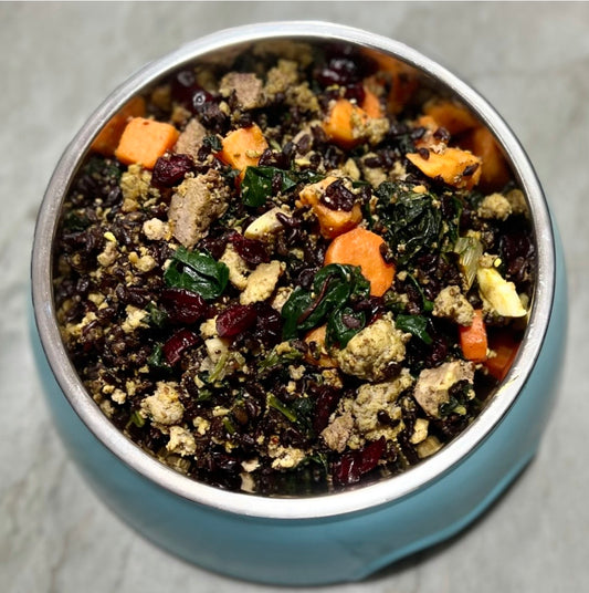 Turkey Meal Gourmet Dog Food
