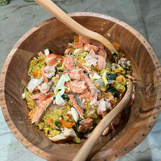 Salmon Gourmet Dog Food
