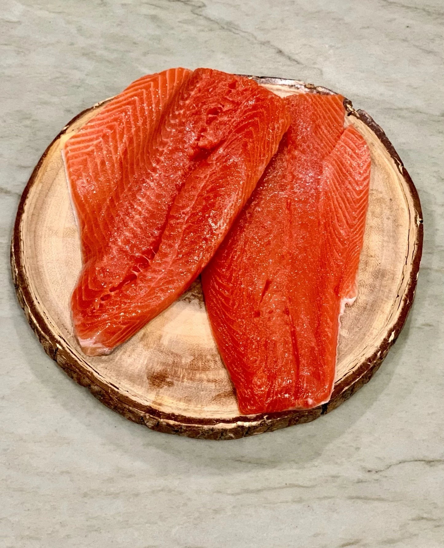 Salmon Gourmet Dog Food